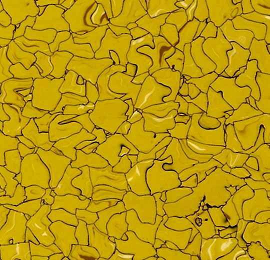 homogeneous - 